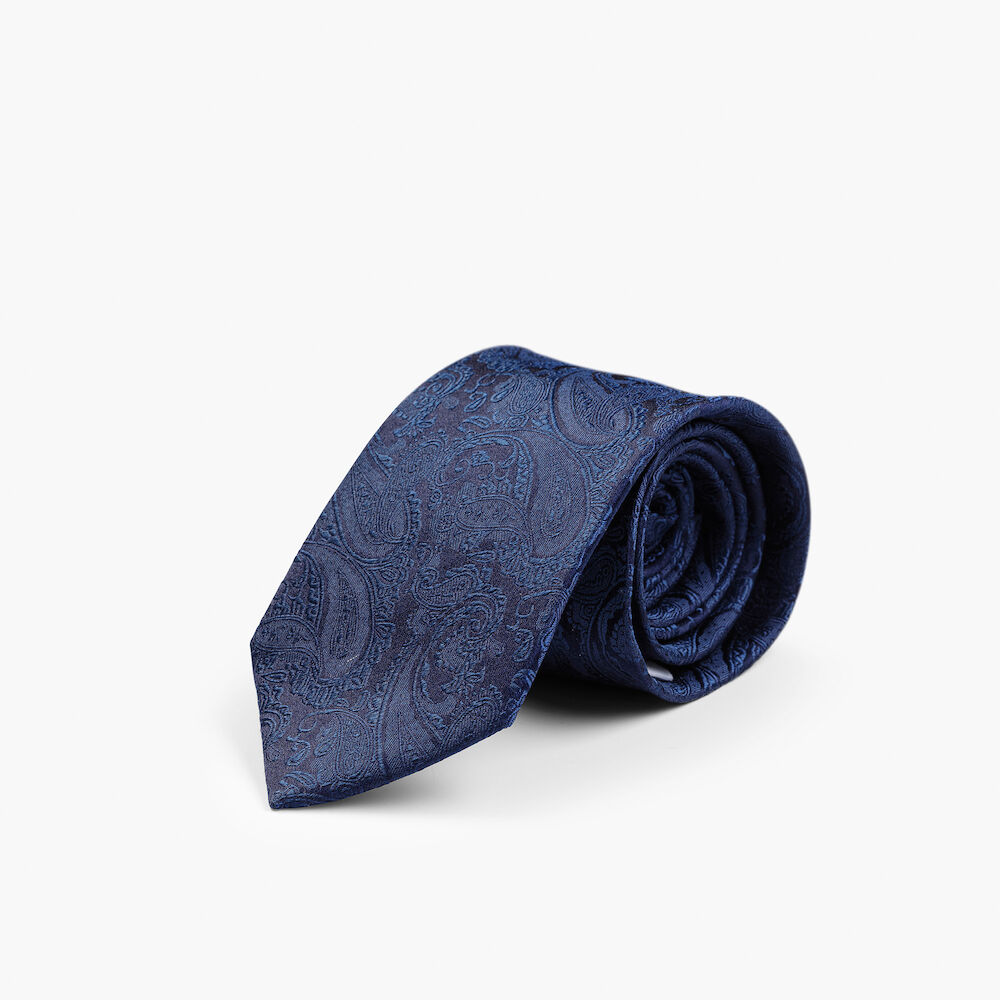 SOLID PAISLEY TIE